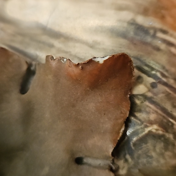 Amphora Porcelain Vase with Raised Grapes and Leaves Art Nouveau Turn of Century - Picture 8 of 16